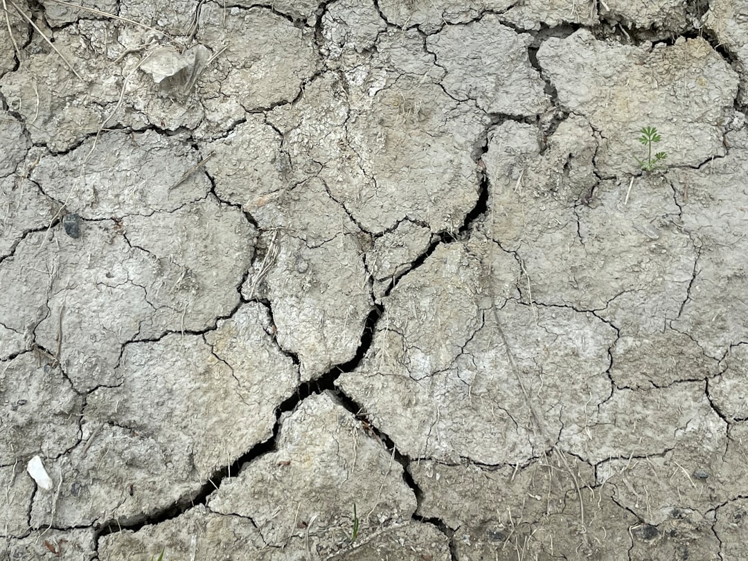 Photo climate change report